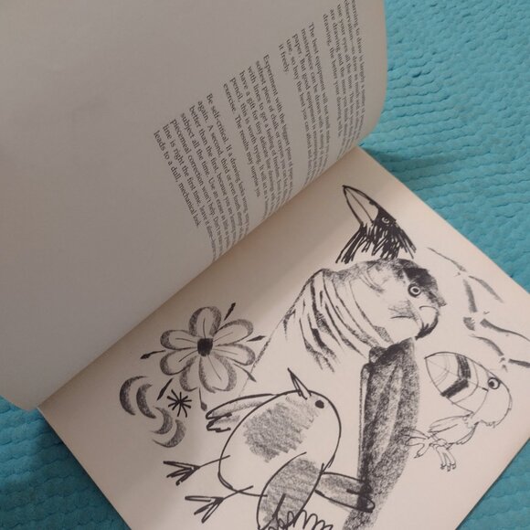 How to Draw Birds artist instruction book - David Brown - Picture 3 of 4